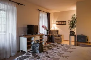 B&B Dvor Tacen - Værelse