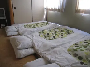 Business Hotel Hayashiso - Chambre