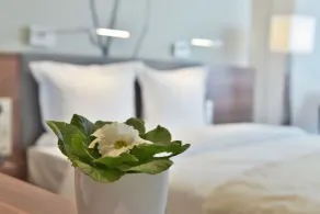 Focus Hotel Premium Lublin Conference & SPA - Room