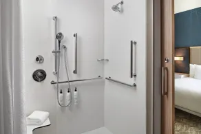 SpringHill Suites by Marriott Frederica - Salle de bain