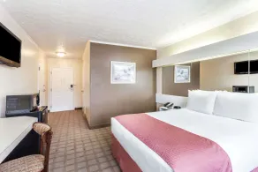 Microtel Inn by Wyndham Wilson - Chambre