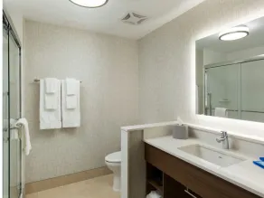 Holiday Inn Express Visalia-Sequoia Gateway Area by IHG - Badrum