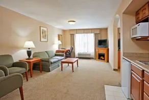Holiday Inn Express Hotel & Suites Howell by IHG - Værelse