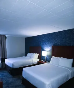 Comfort Inn Wethersfield - Hartford - Room