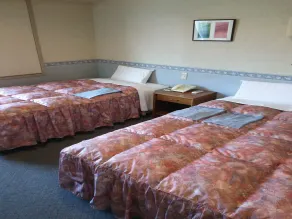 Hotel Hyper Hills Hirosaki - Chambre