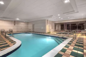 Hampton Inn & Suites Downers Grove Chicago - Piscine