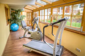 Appartementhaus Silvia - Area fitness