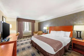 Best Western Inn at the Rochester Airport - Chambre