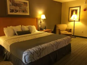 Wingate by Wyndham Coon Rapids - Chambre