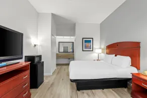 Quality Inn Weeki Wachee - Spring Hill - Chambre