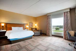 Hampton Inn Watertown - Chambre