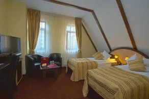 Pensiunea Ambient - Zimmer