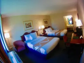 Quality Inn Vienna - Tysons Corner - Chambre
