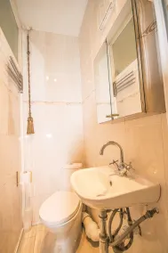 Wimbledon Town Centre Garden Apartment with private parking - Sleeps 5 - Bad