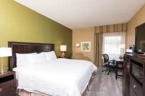 Hampton Inn Port Huron - Quarto