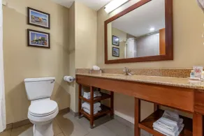 Comfort Inn & Suites Orangeburg - Salle de bain