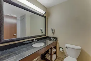 Comfort Suites Huntsville MidCity District at Research Park - Salle de bain