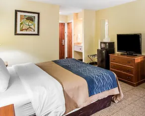 Quality Inn Darien-North Brunswick - Værelse