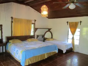 Coconut Tree West End - Room