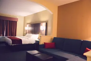 Comfort Suites Bush Intercontinental Airport - Vue de la chambre