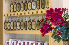 Hotel Gasthof Stefansbrücke - Reception