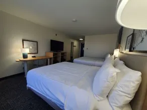 Spark by Hilton Lansing - Room