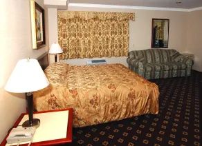 Metro Plaza Hotel - Chambre