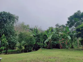 Baansuan Suksangob Farm Stay - View from room