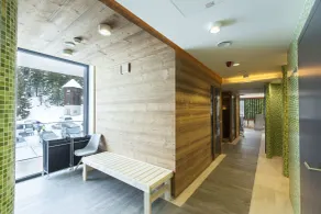Apparthotel SILBERSEE - Spa