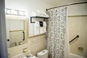 The Carriage House at Strasburg - Salle de bain