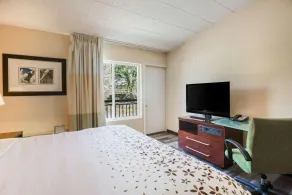 Fairmount Inn & Suites - Stroudsburg, Poconos - Vue de la chambre