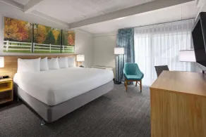 Days Inn by Wyndham Ann Arbor - Chambre