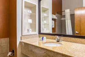 Sleep Inn & Suites Stafford - Sugarland - Salle de bain