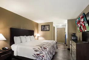 Red Roof Inn Allentown South - Room