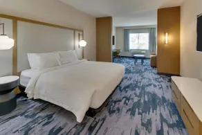 Fairfield Inn and Suites by Marriott Houston Brookhollow - Room
