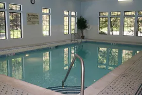 Hampton Inn & Suites Binghamton/Vestal - Piscine