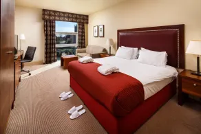 Holiday Inn Dumfries by IHG - Chambre