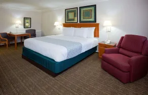 La Quinta Inn by Wyndham Albuquerque Airport - Chambre
