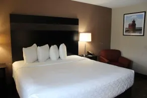 AmericInn by Wyndham Holland MI - Zimmer