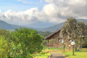 Naivasha Kongoni Lodge - Lake view Getaway - View from room