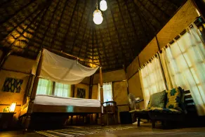 The Barefoot At Havelock - Rom