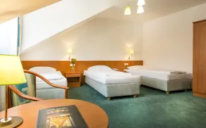 Hotel Dvorak - Room