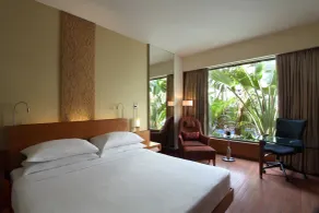 Hyatt Pune - View from room