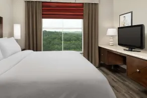 Embassy Suites by Hilton Birmingham Hoover - Chambre