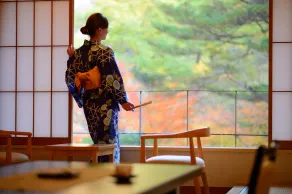 Sansuiso Tsuchiyu Spa - Habitación