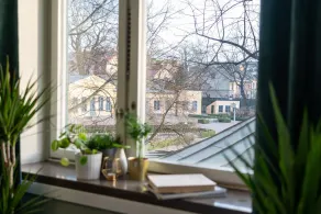 Botanika Uppsala - View from room
