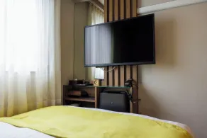 Hotel Sardonyx Ueno - Chambre