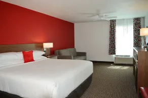 Radisson Hotel Orlando Lake Buena Vista South - Rum