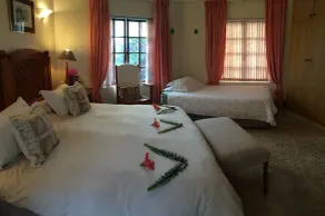 Mont Fleur B&B - Room