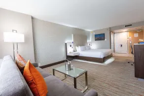 DoubleTree by Hilton Dallas - Richardson - Chambre